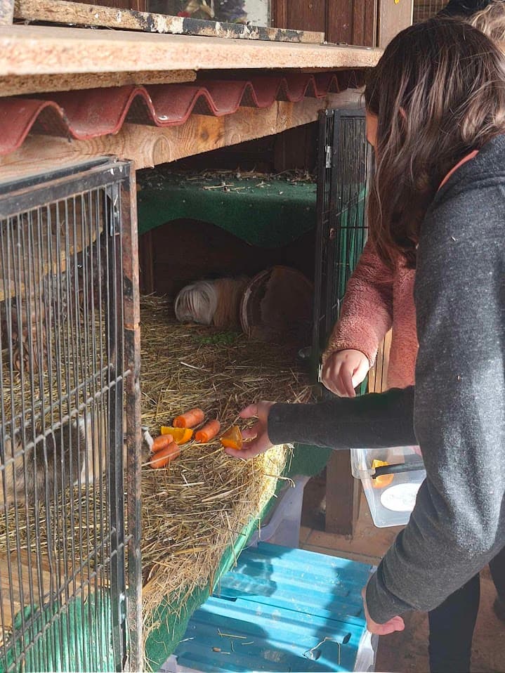 Visites pédagogiques